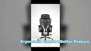 WS-100 Mid Trim ergonomic chair